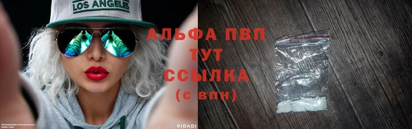 ПСИЛОЦИБИНОВЫЕ ГРИБЫ Богданович