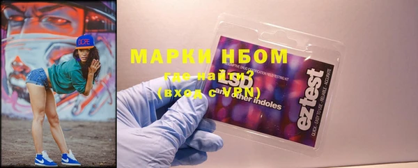 ПСИЛОЦИБИНОВЫЕ ГРИБЫ Богданович