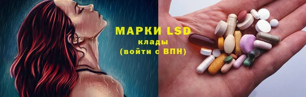ПСИЛОЦИБИНОВЫЕ ГРИБЫ Богданович