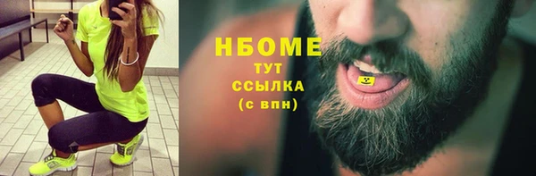 ПСИЛОЦИБИНОВЫЕ ГРИБЫ Богданович