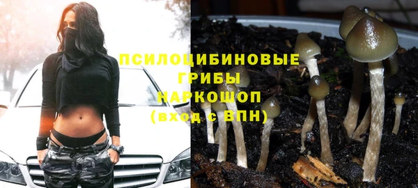 ПСИЛОЦИБИНОВЫЕ ГРИБЫ Богданович