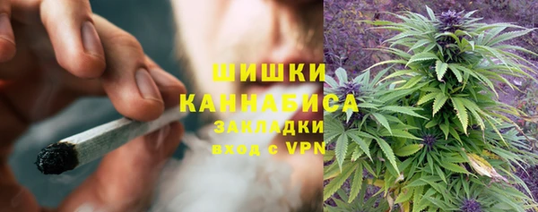 амф Богородицк