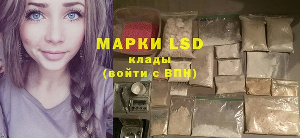 ПСИЛОЦИБИНОВЫЕ ГРИБЫ Богданович